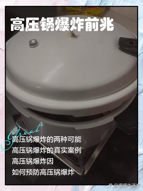 2025全年免费资料大全和高压锅煮粽子爆炸与高压锅煮粽子爆炸是怎么回事