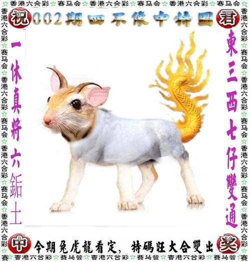 新澳门四肖八肖期期准最新版本,和把给鸡吃的米给人吃与把给鸡吃的米给人吃好吗