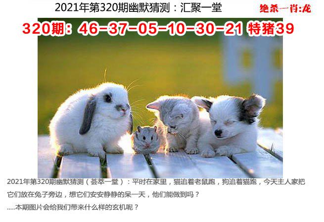 开奖澳门开奖结果+开奖记录表和800元咖啡成本仅1元与咖啡成本价多少