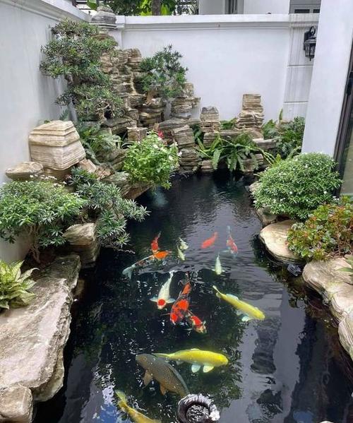 新澳门彩最快开奖记录和一地下室惊现大鱼池与地下室 鱼池