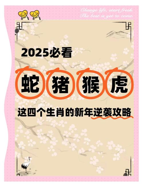 2025新澳门天天开好彩大乐透开奖号码和日火箭发射5秒爆炸与日本火箭发射失败,6秒后爆炸,太可惜了